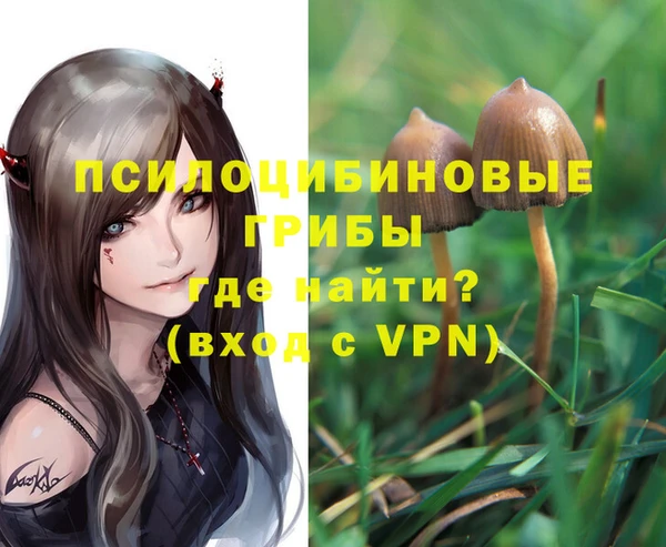ПСИЛОЦИБИНОВЫЕ ГРИБЫ Абдулино