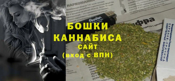 прущая мука Вяземский