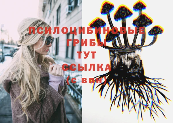 хмурый Алексин