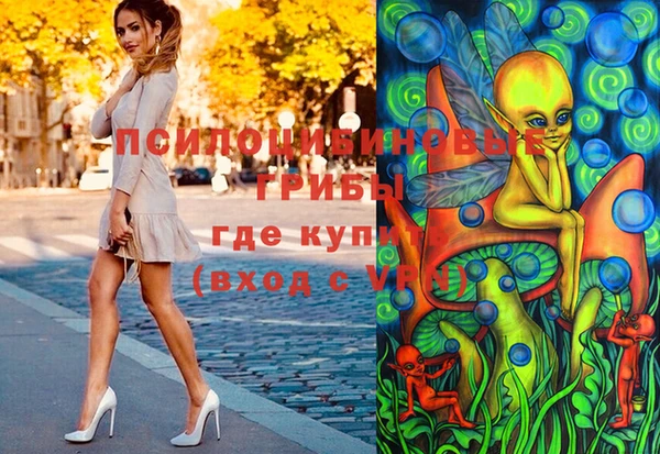 мдпв Абинск