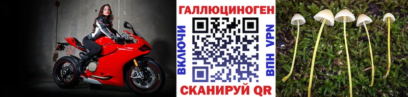 продажа наркотиков  Лиски  Псилоцибиновые грибы прущие грибы 